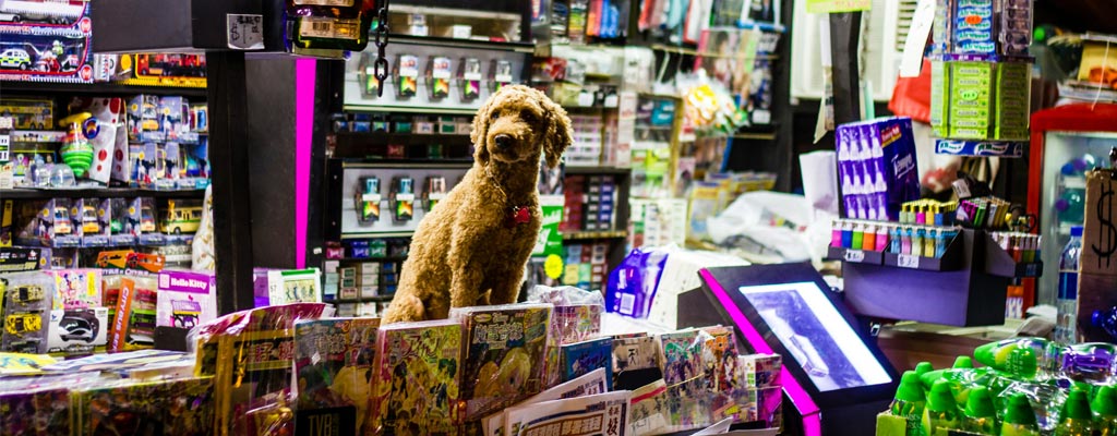 perbedaan petshop dan petclinic